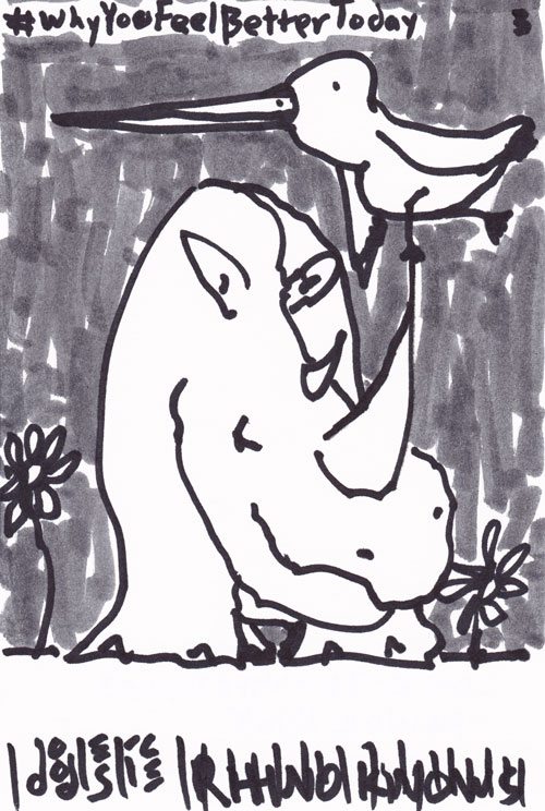 wyfbt-2014-10-26-0003-rhinoknows-500px744px